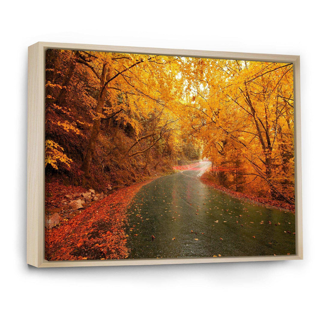 Autumn Light Trails on Road
