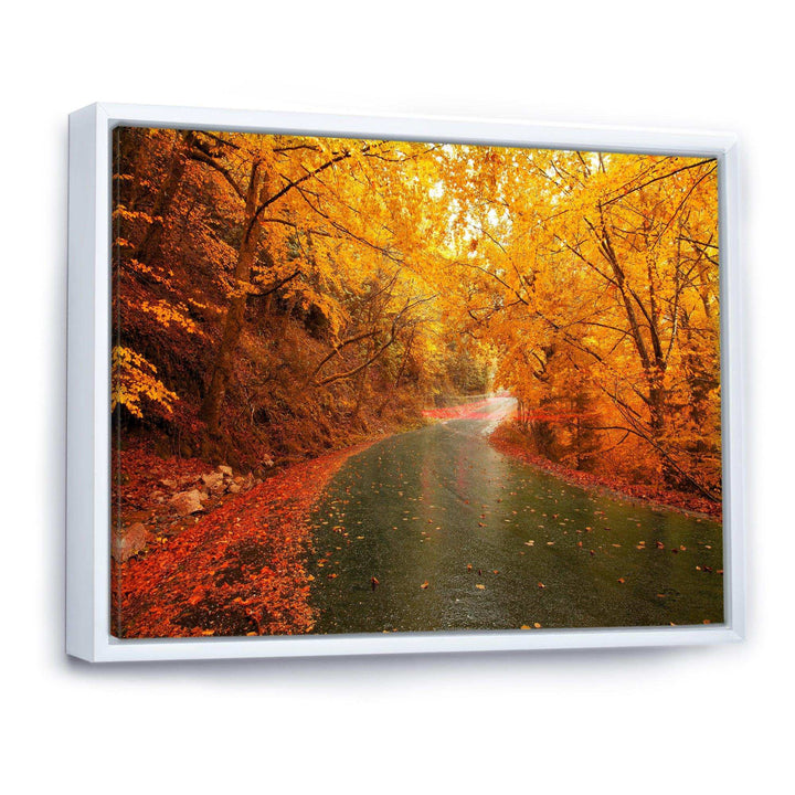 Autumn Light Trails on Road