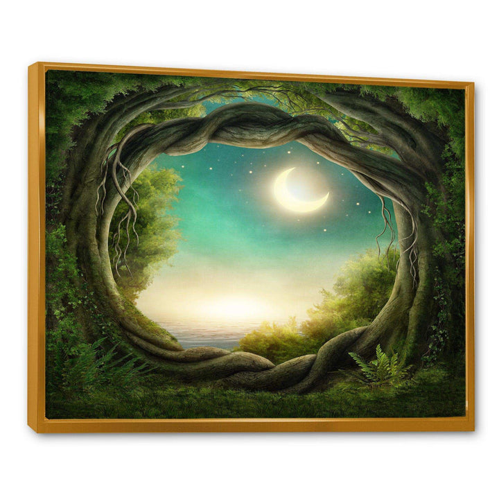 Enchanted Dark Forest