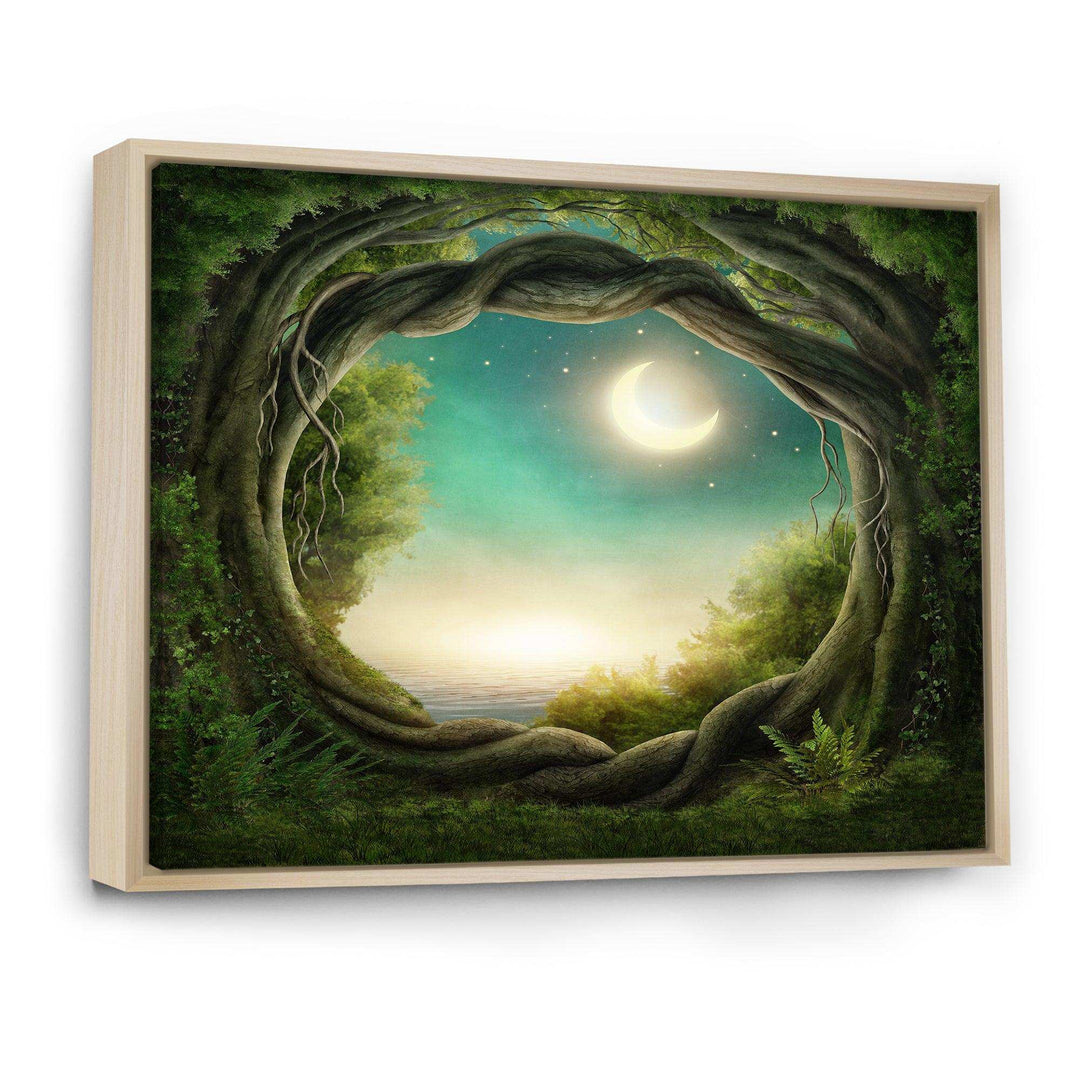 Enchanted Dark Forest