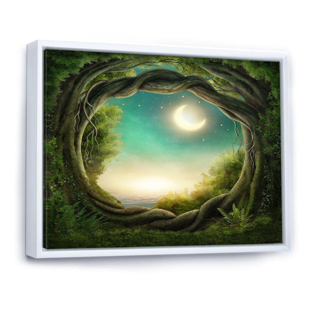 Enchanted Dark Forest