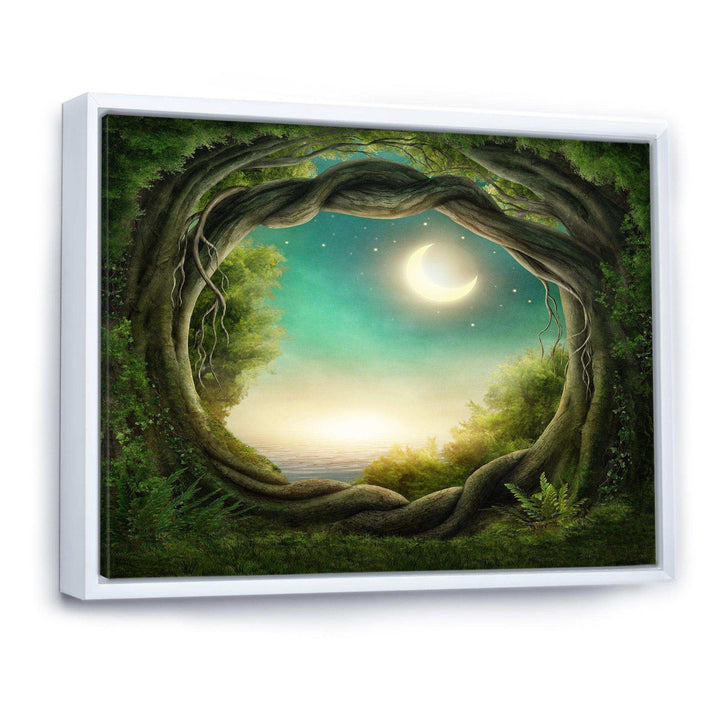 Enchanted Dark Forest