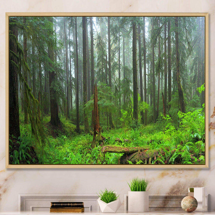 Hoh Rain Forest