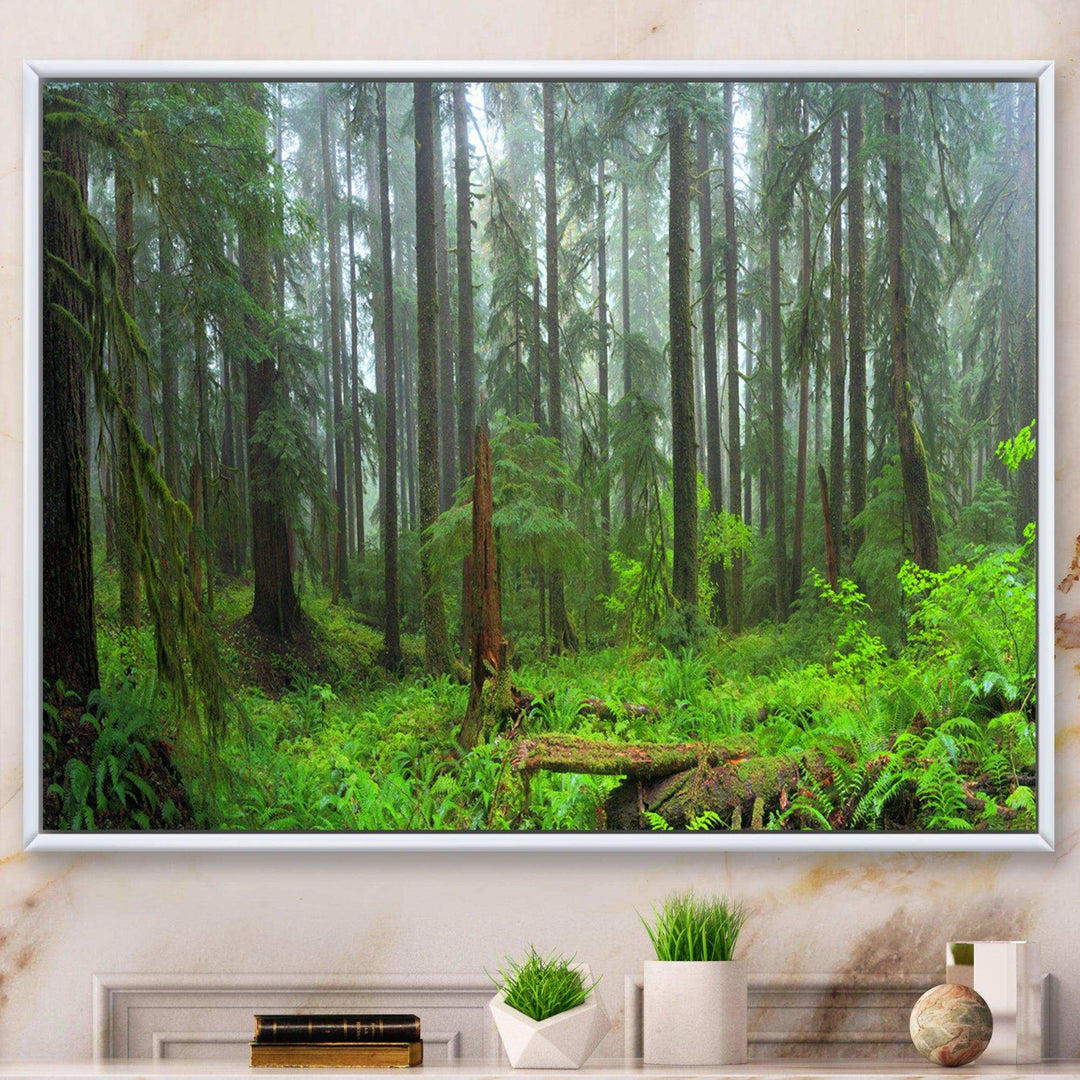 Hoh Rain Forest