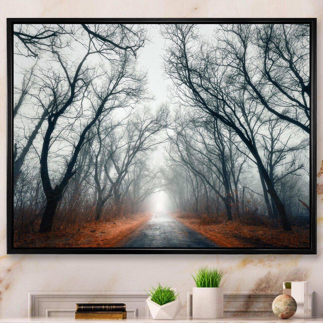 Mystic Road in Forest
