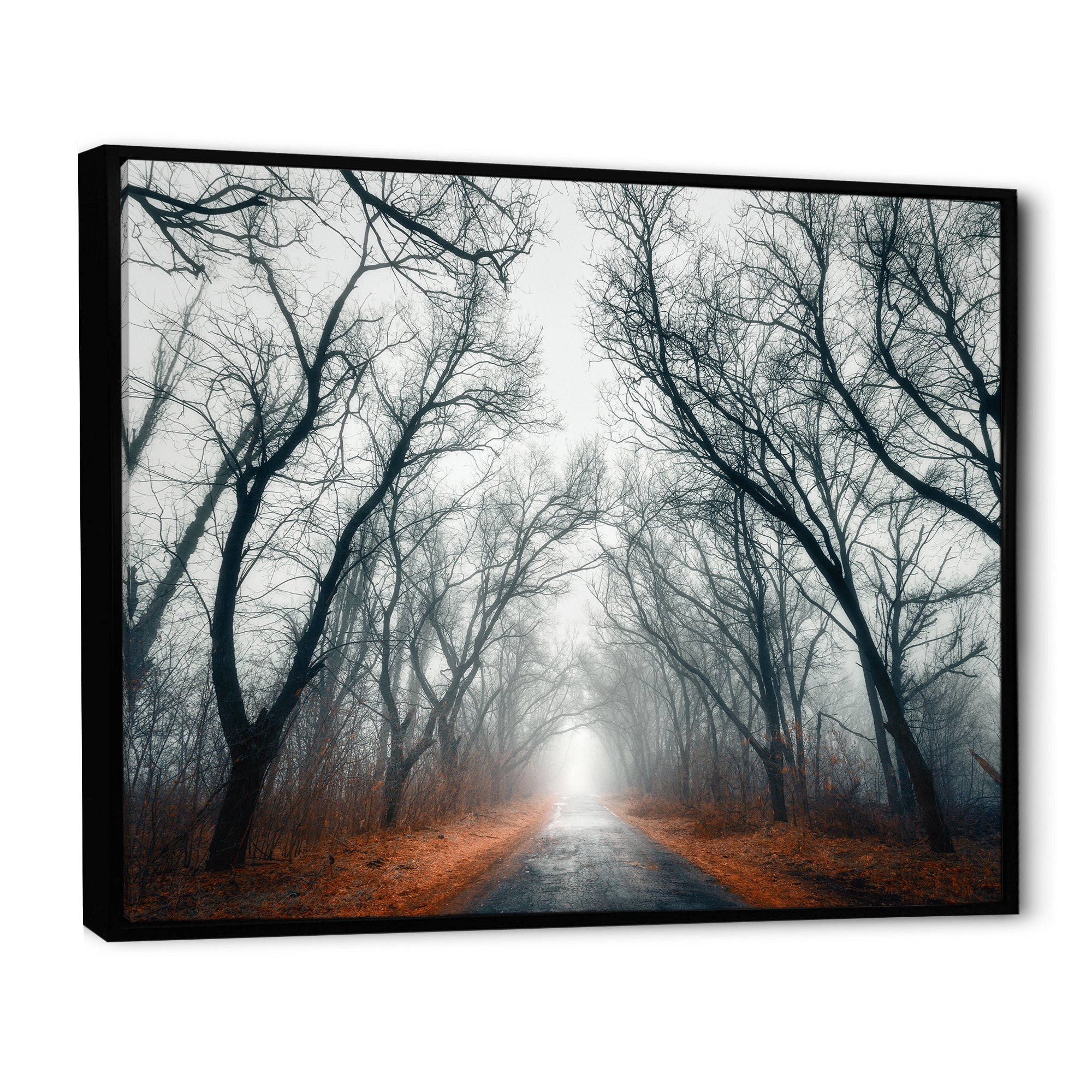 Mystic Road in Forest
