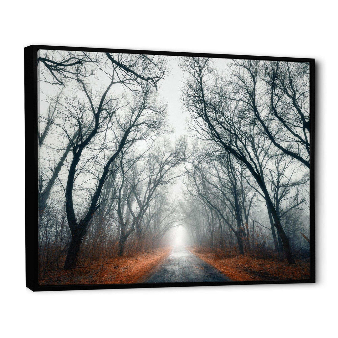 Mystic Road in Forest