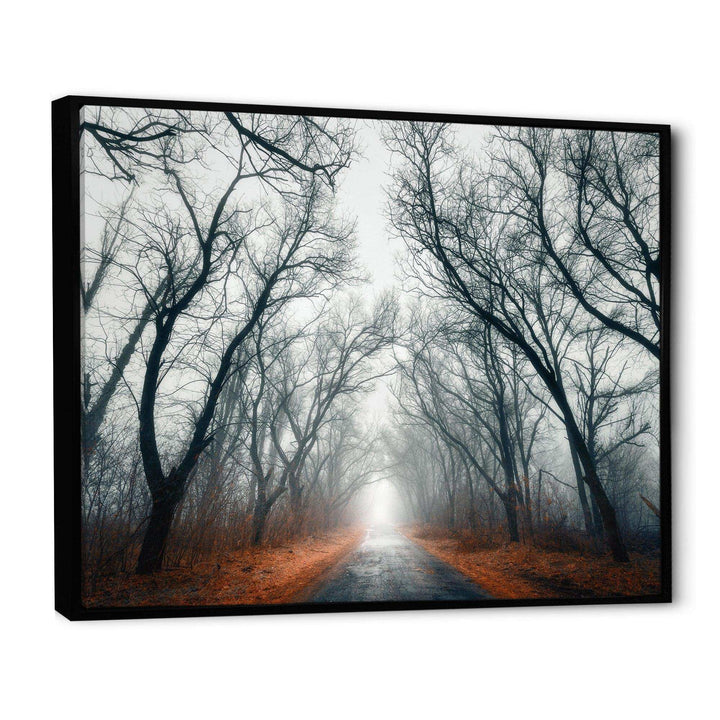 Mystic Road in Forest