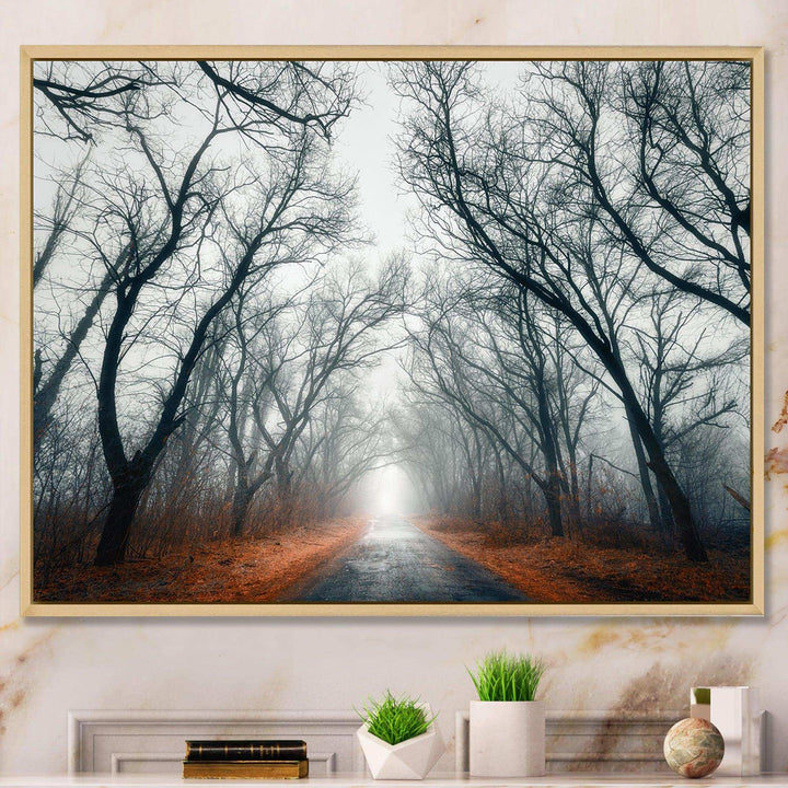 Mystic Road in Forest