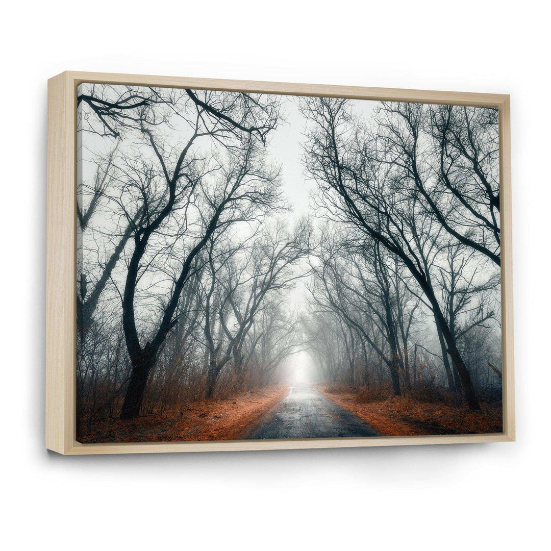 Mystic Road in Forest