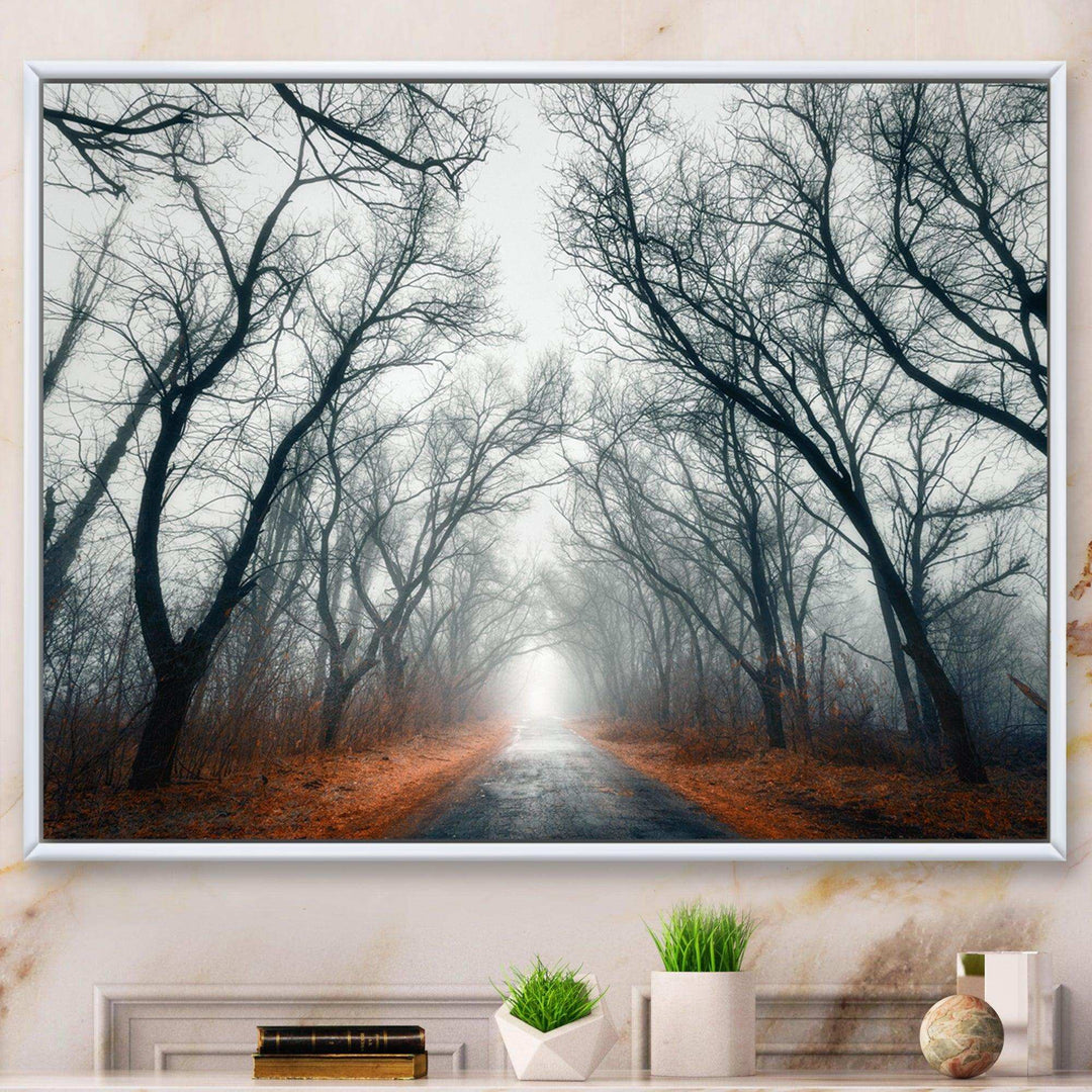 Mystic Road in Forest