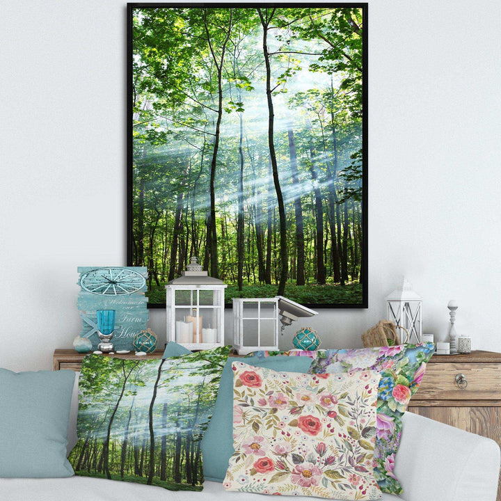 Green Sunny Forest