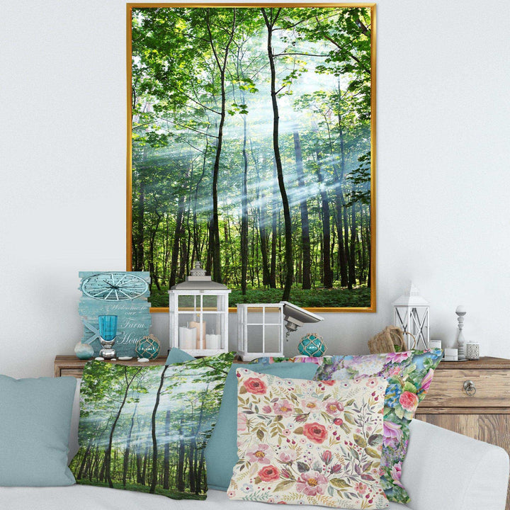 Green Sunny Forest
