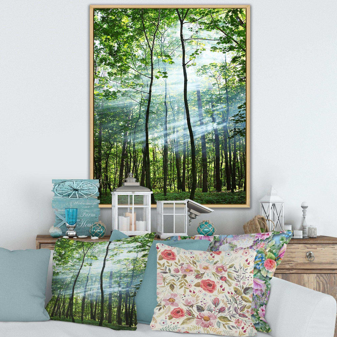 Green Sunny Forest