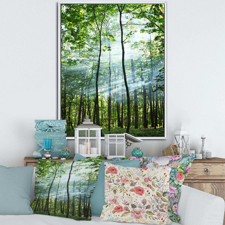 Green Sunny Forest