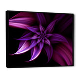 Fractal Flower Purple