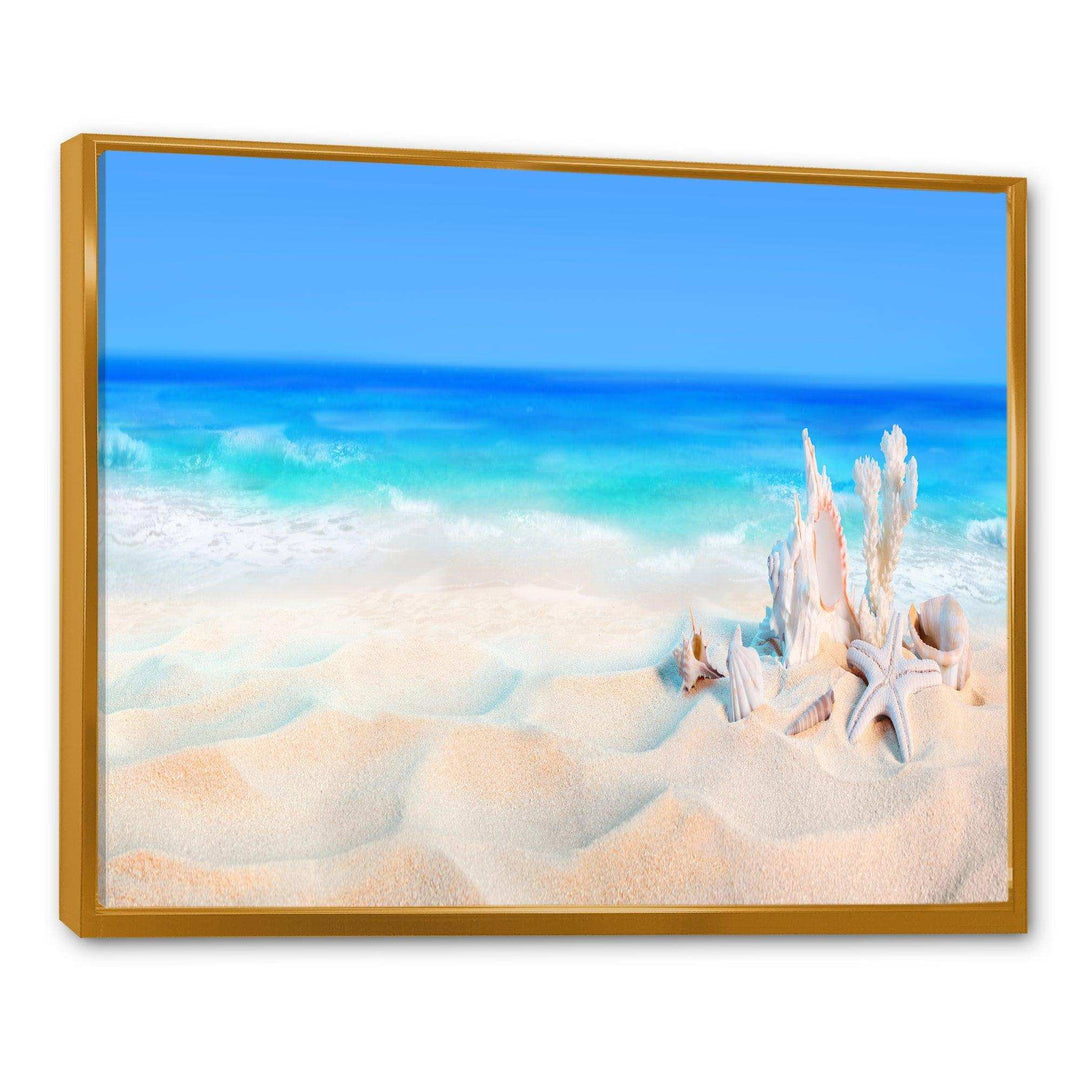 Seashells on Seashore