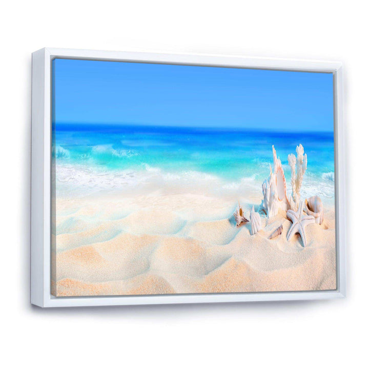 Seashells on Seashore
