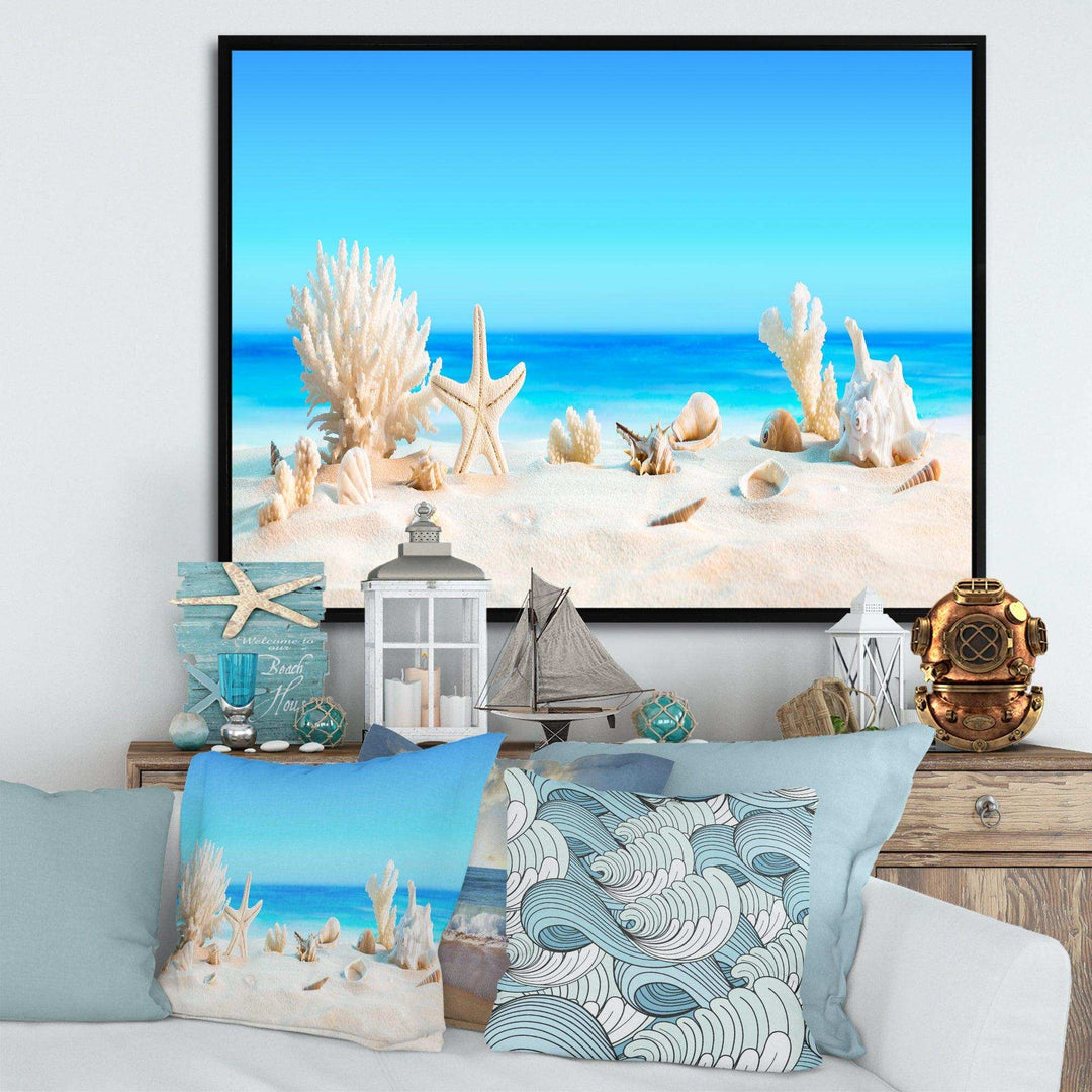 Seashells on Tropical Beach