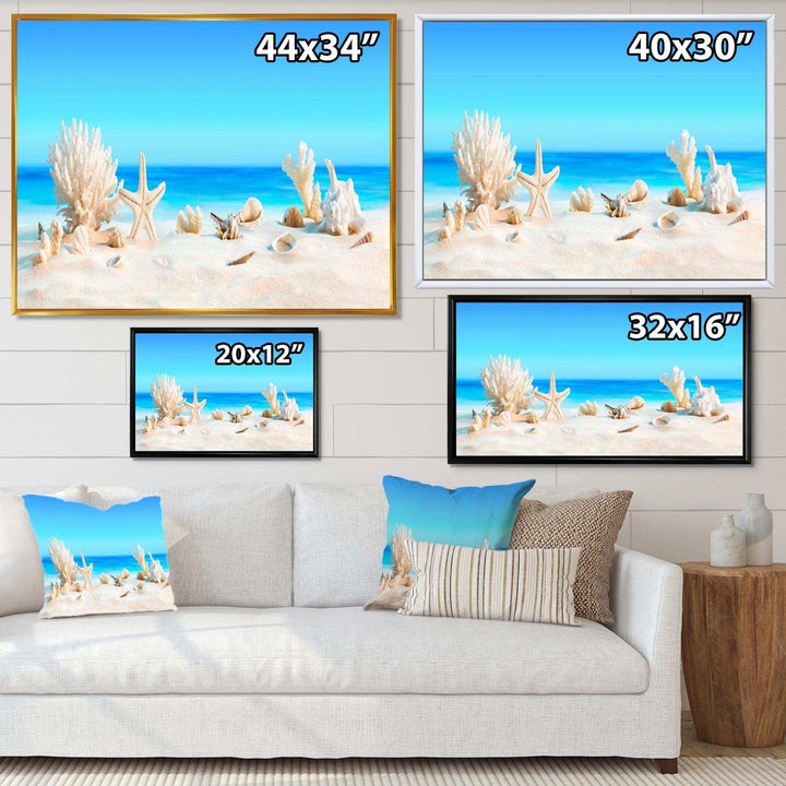 Seashells on Tropical Beach