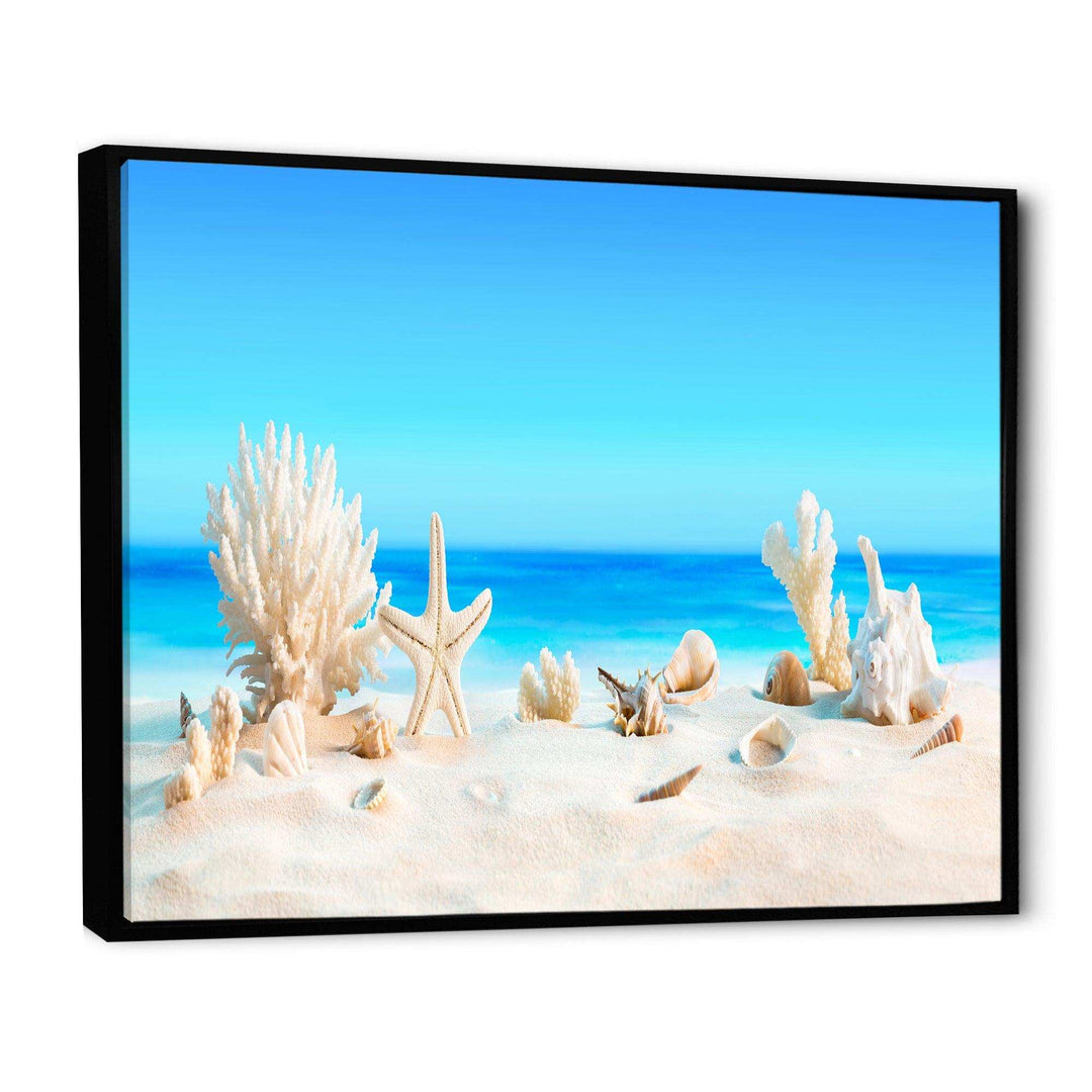 Seashells on Tropical Beach