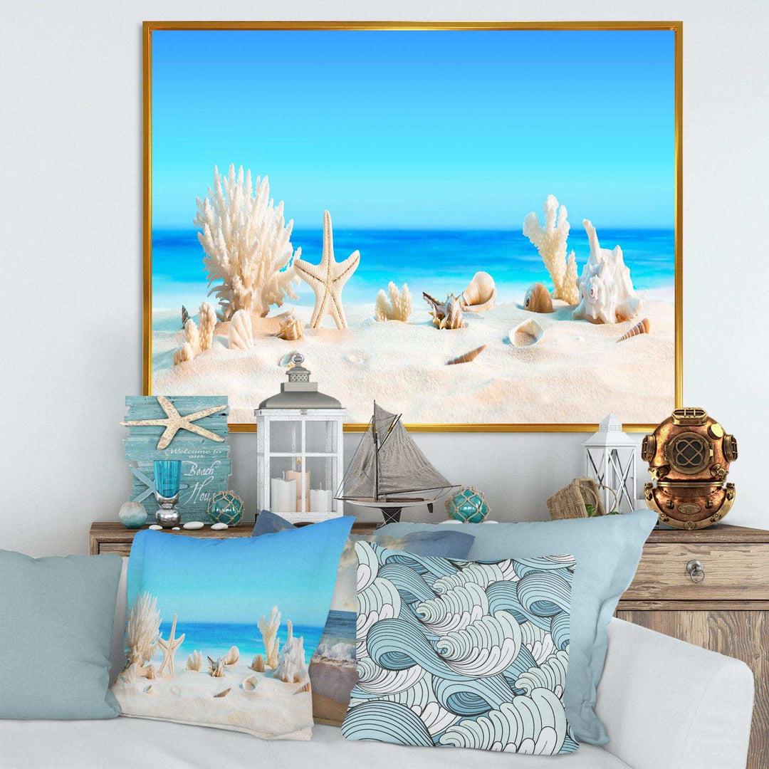 Seashells on Tropical Beach