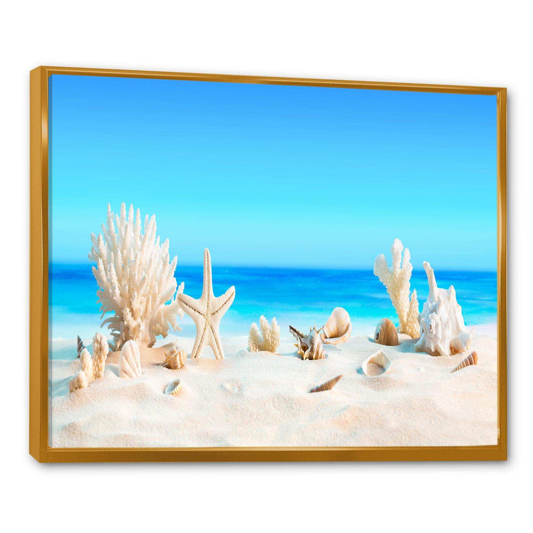 Seashells on Tropical Beach