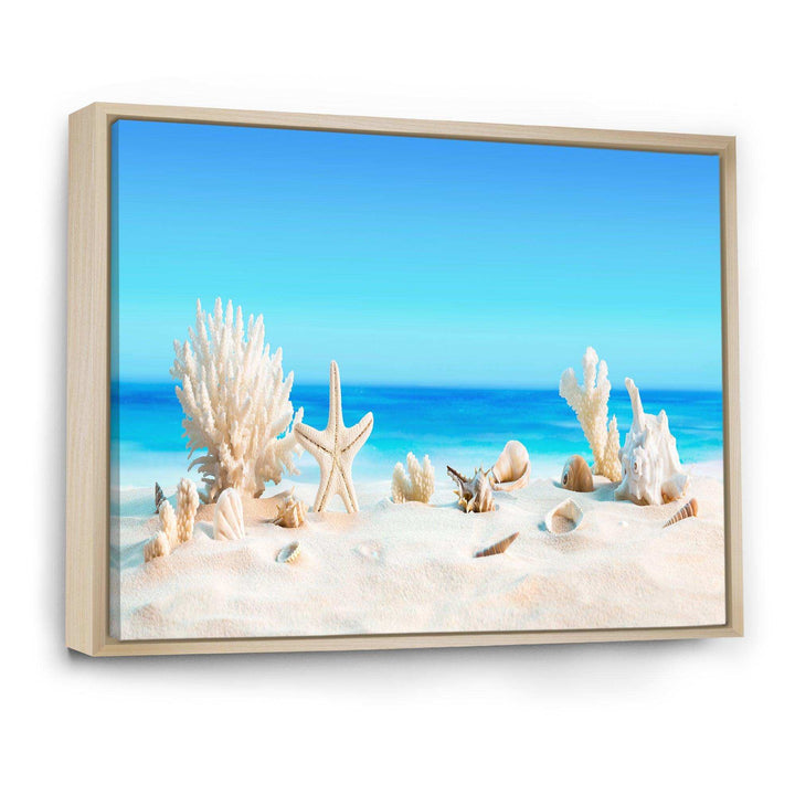 Seashells on Tropical Beach