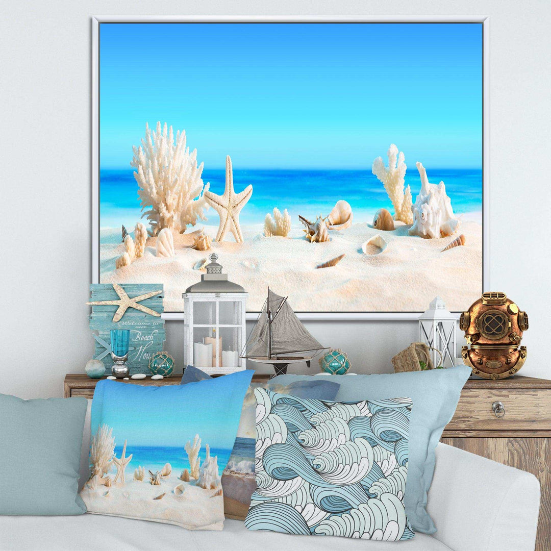 Seashells on Tropical Beach