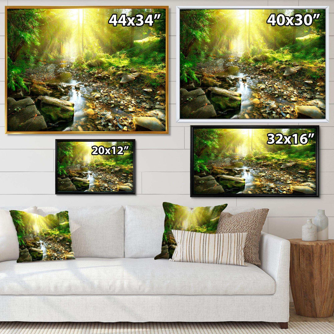 Mountain Stream in Forest