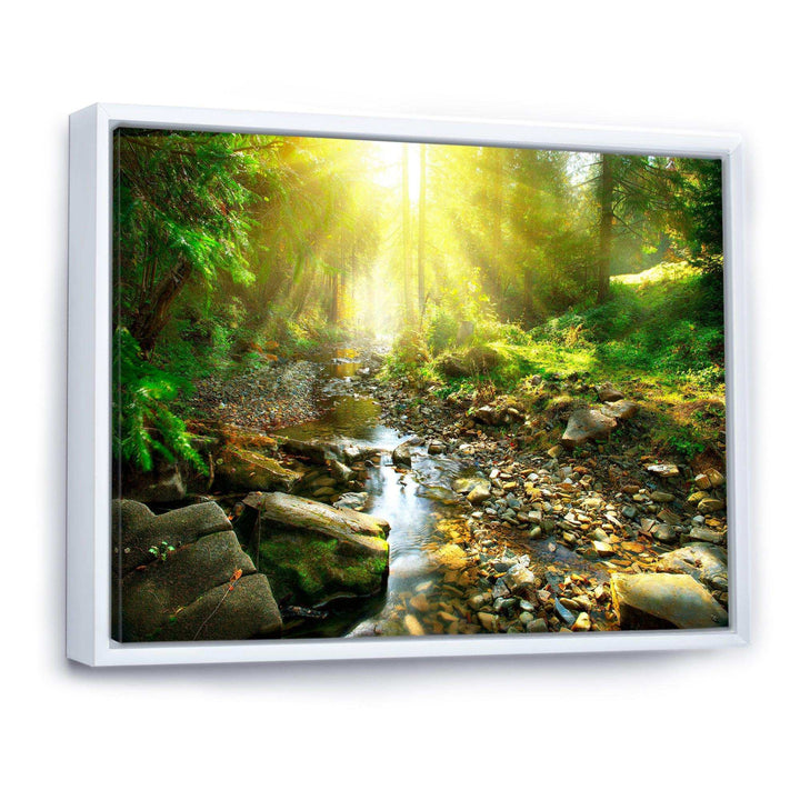 Mountain Stream in Forest