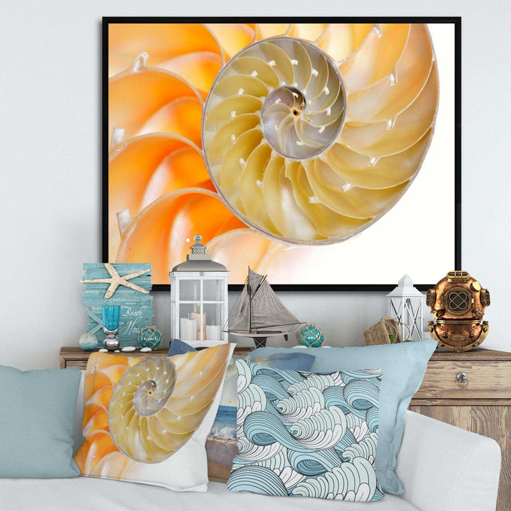 Isolated Nautilus Shell - Nautical &amp; Coastal Bedroom Wall Art