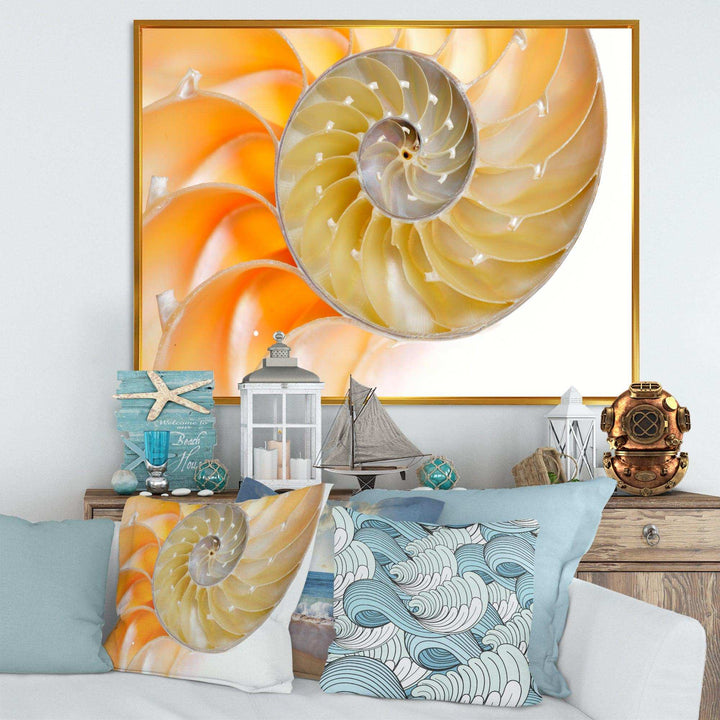 Isolated Nautilus Shell - Nautical &amp; Coastal Bedroom Wall Art