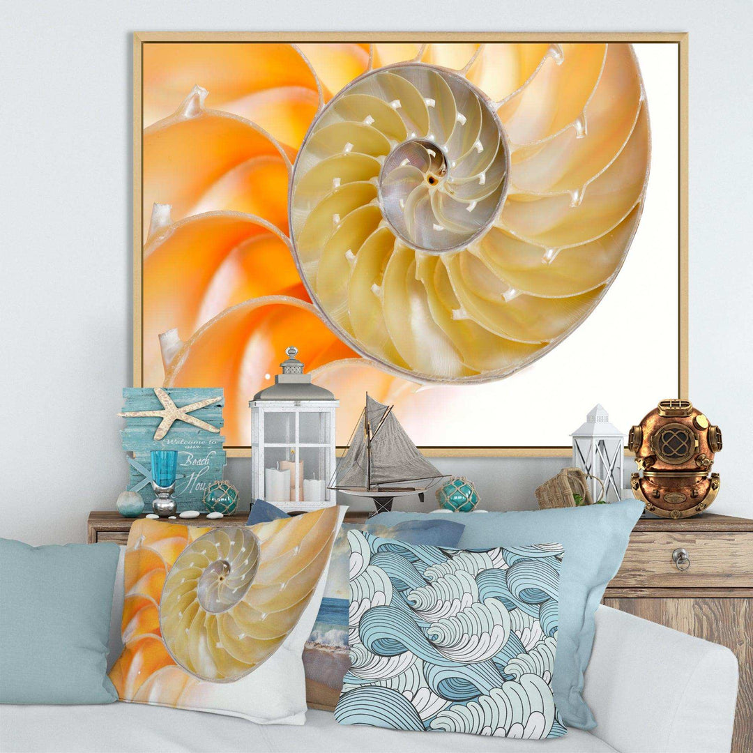 Isolated Nautilus Shell - Nautical &amp; Coastal Bedroom Wall Art