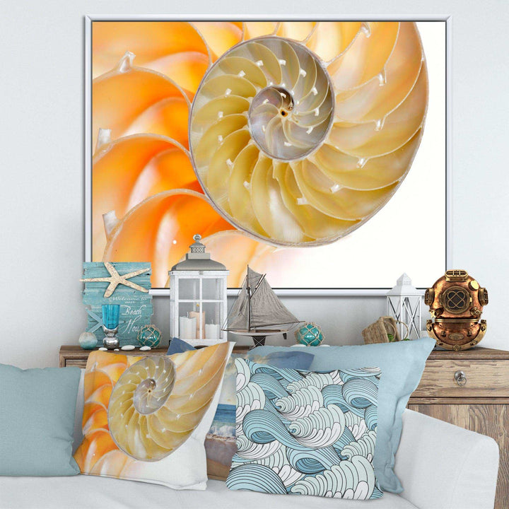 Isolated Nautilus Shell - Nautical &amp; Coastal Bedroom Wall Art