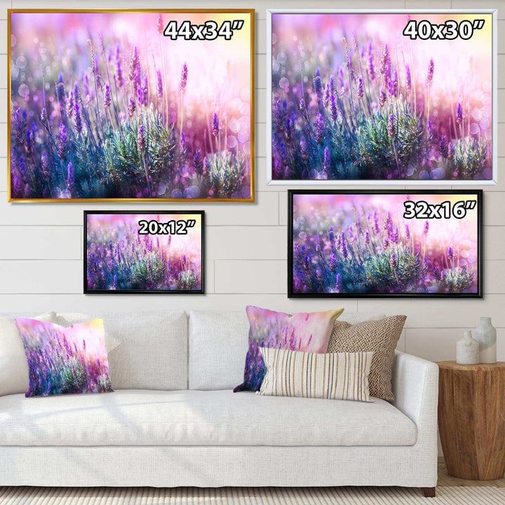 Growing and Blooming Lavender