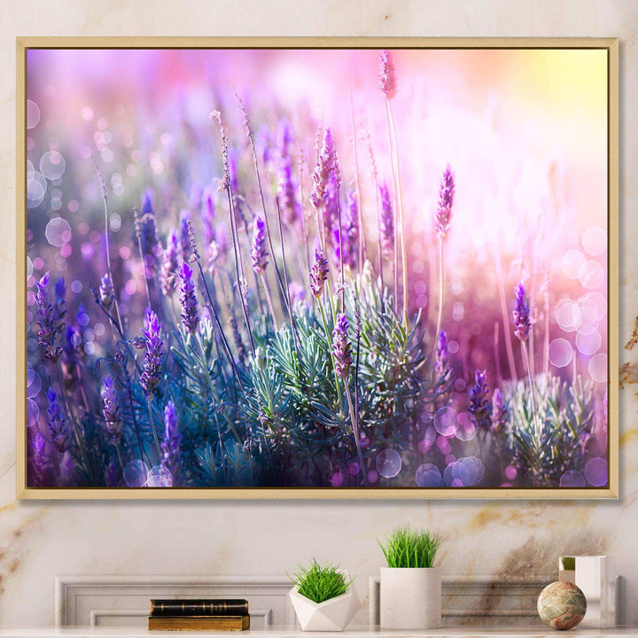 Growing and Blooming Lavender