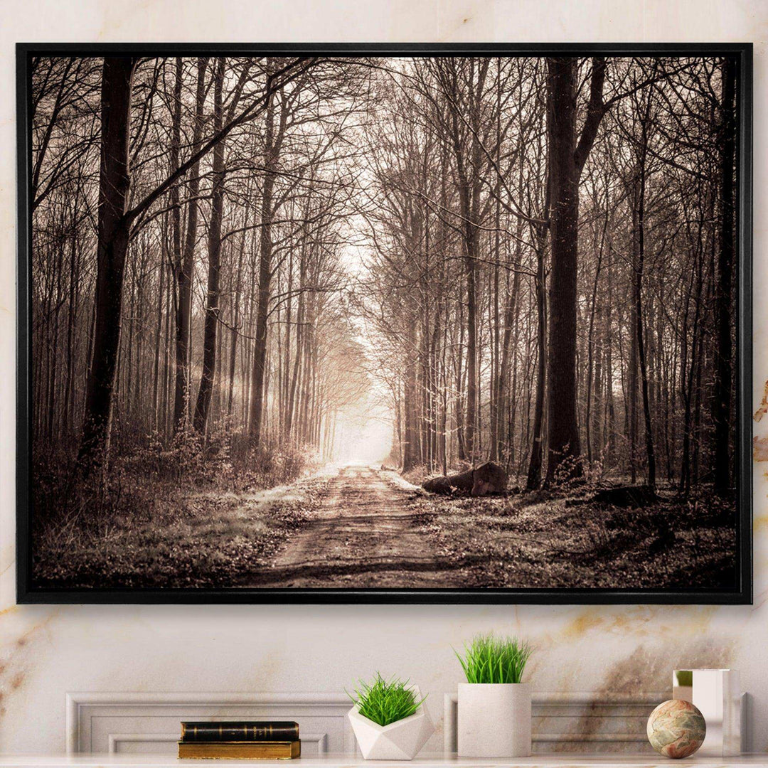 Forest Trail in Sepia