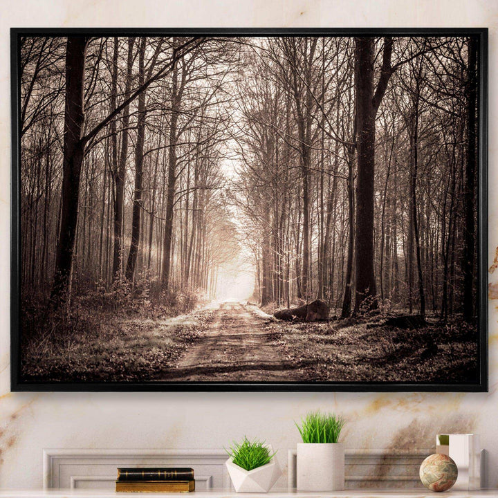Forest Trail in Sepia