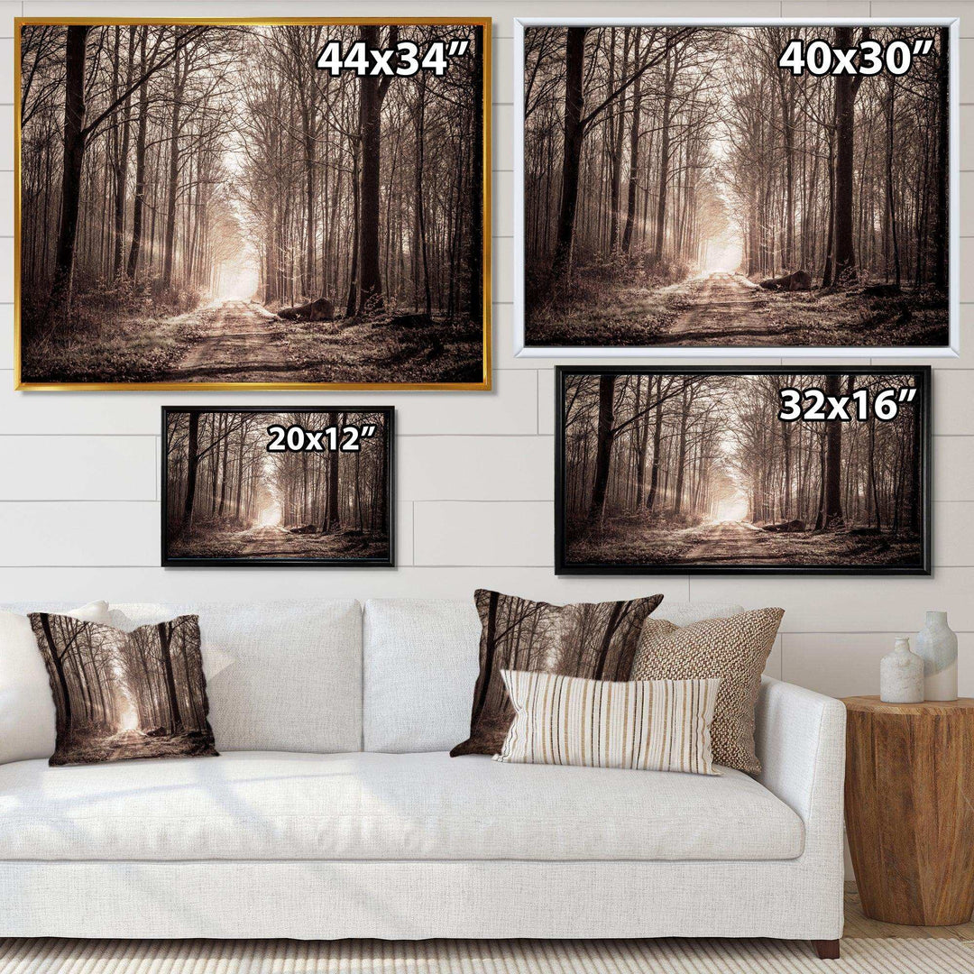 Forest Trail in Sepia