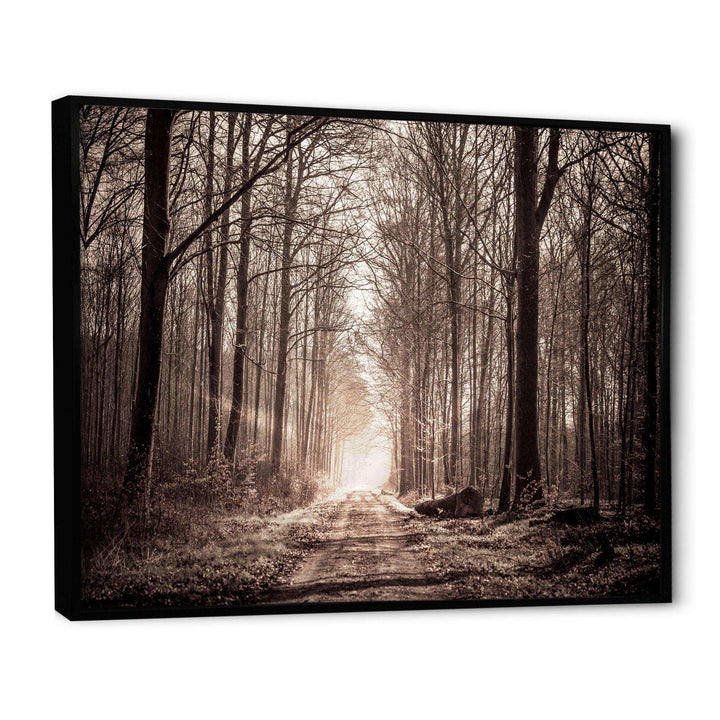 Forest Trail in Sepia