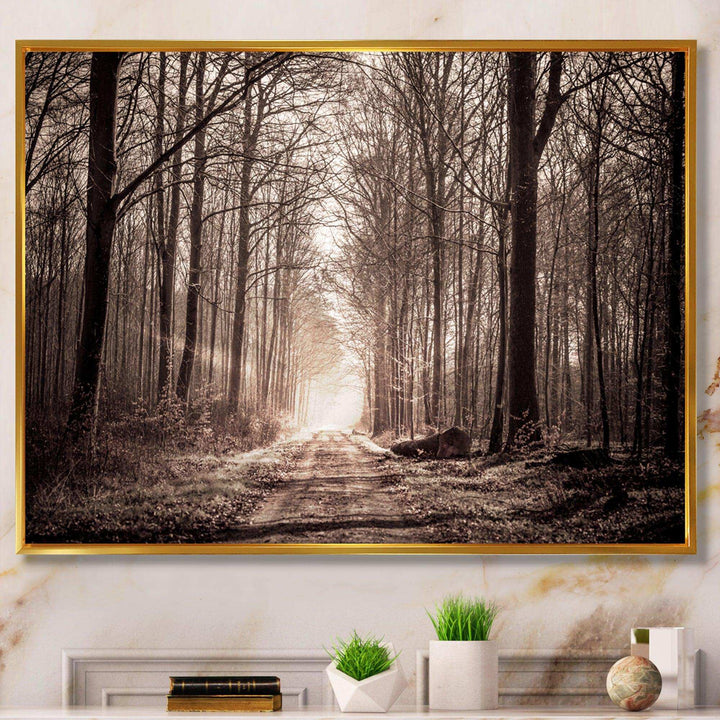 Forest Trail in Sepia