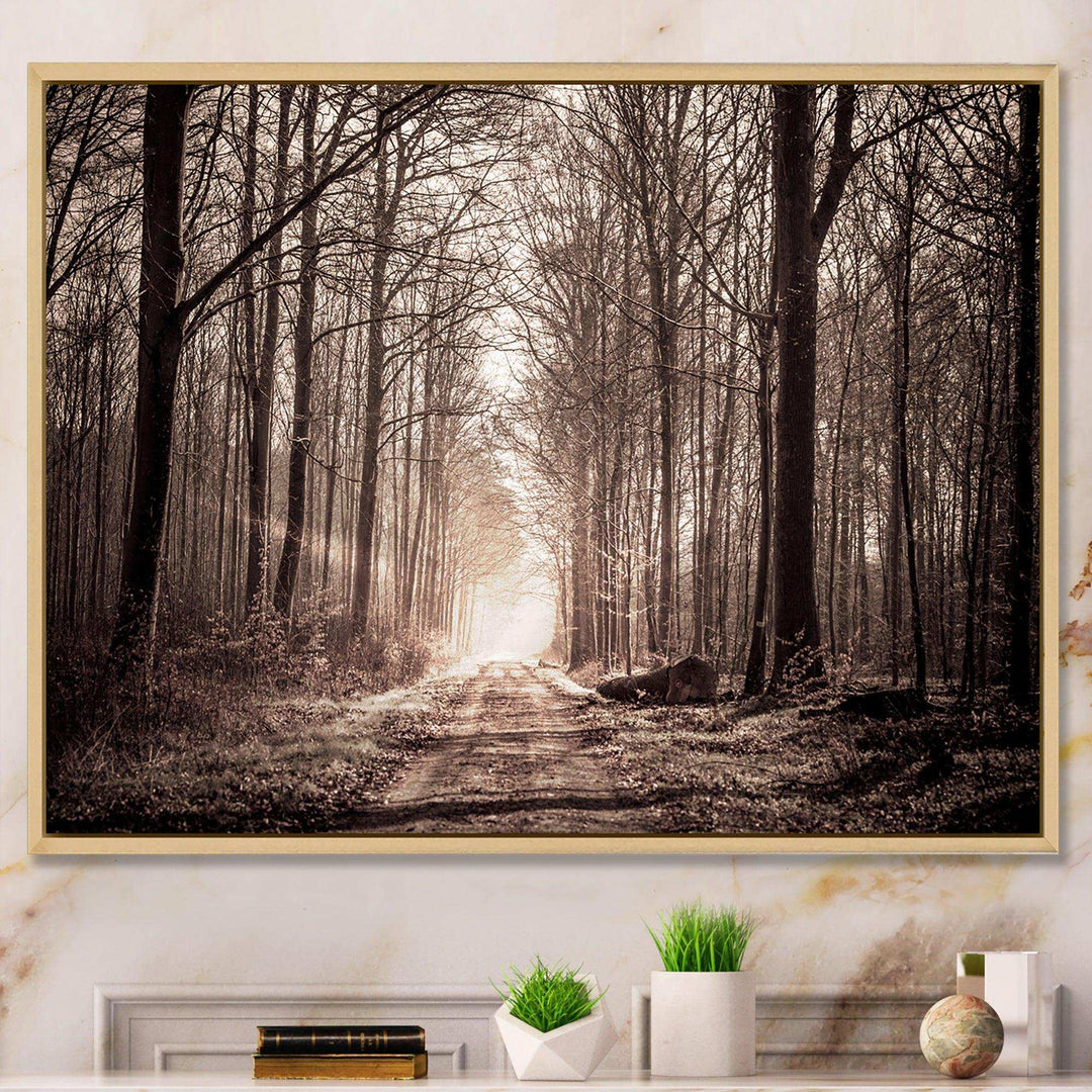 Forest Trail in Sepia