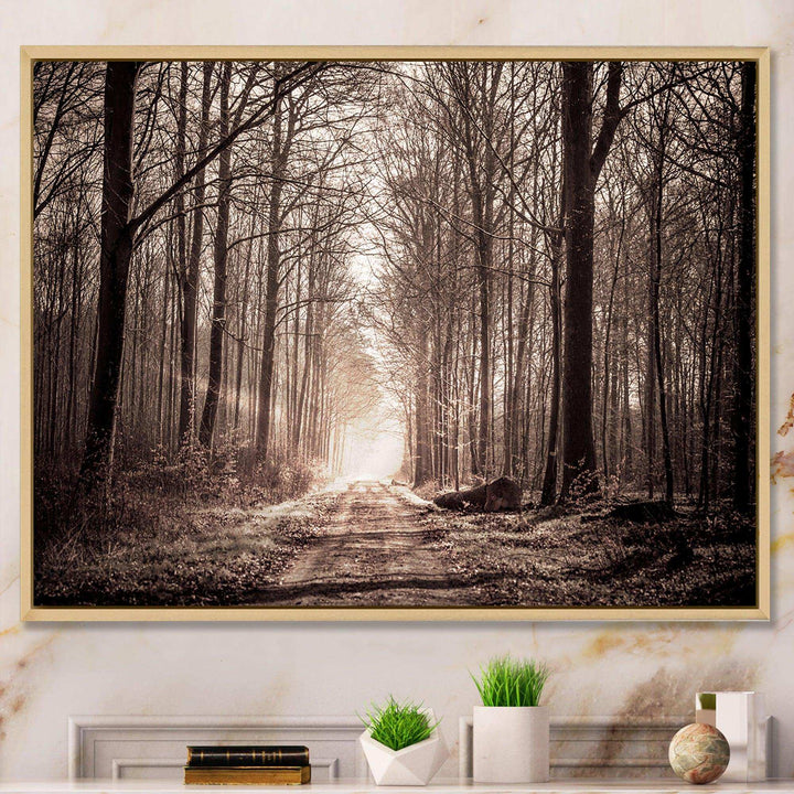 Forest Trail in Sepia