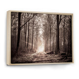 Forest Trail in Sepia
