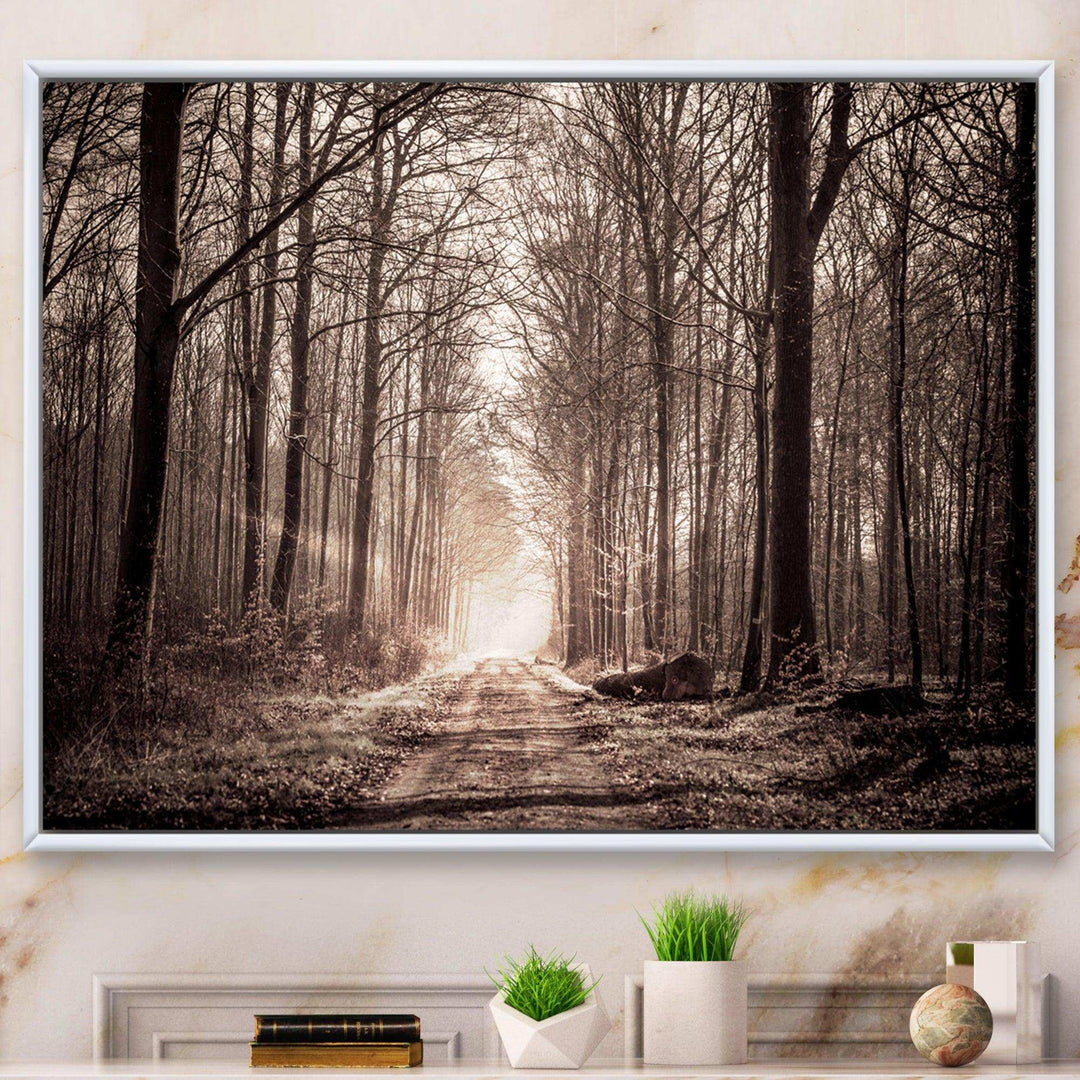 Forest Trail in Sepia