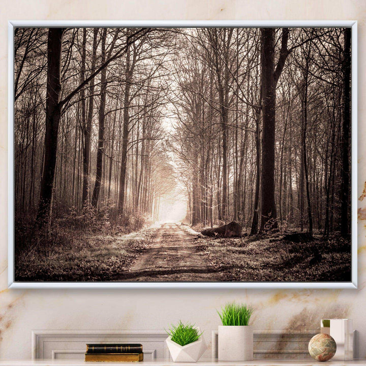 Forest Trail in Sepia