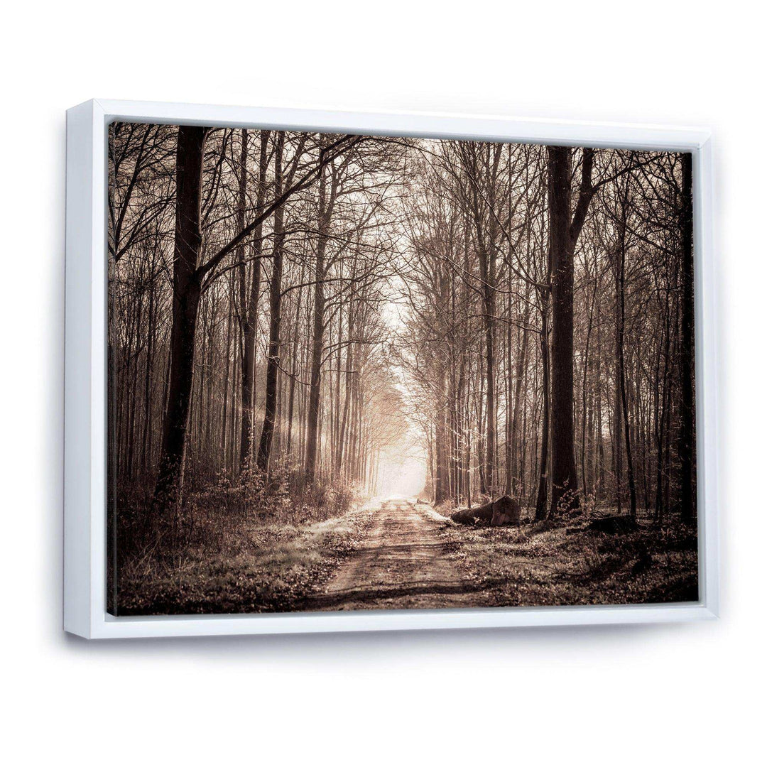 Forest Trail in Sepia