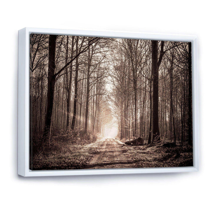 Forest Trail in Sepia