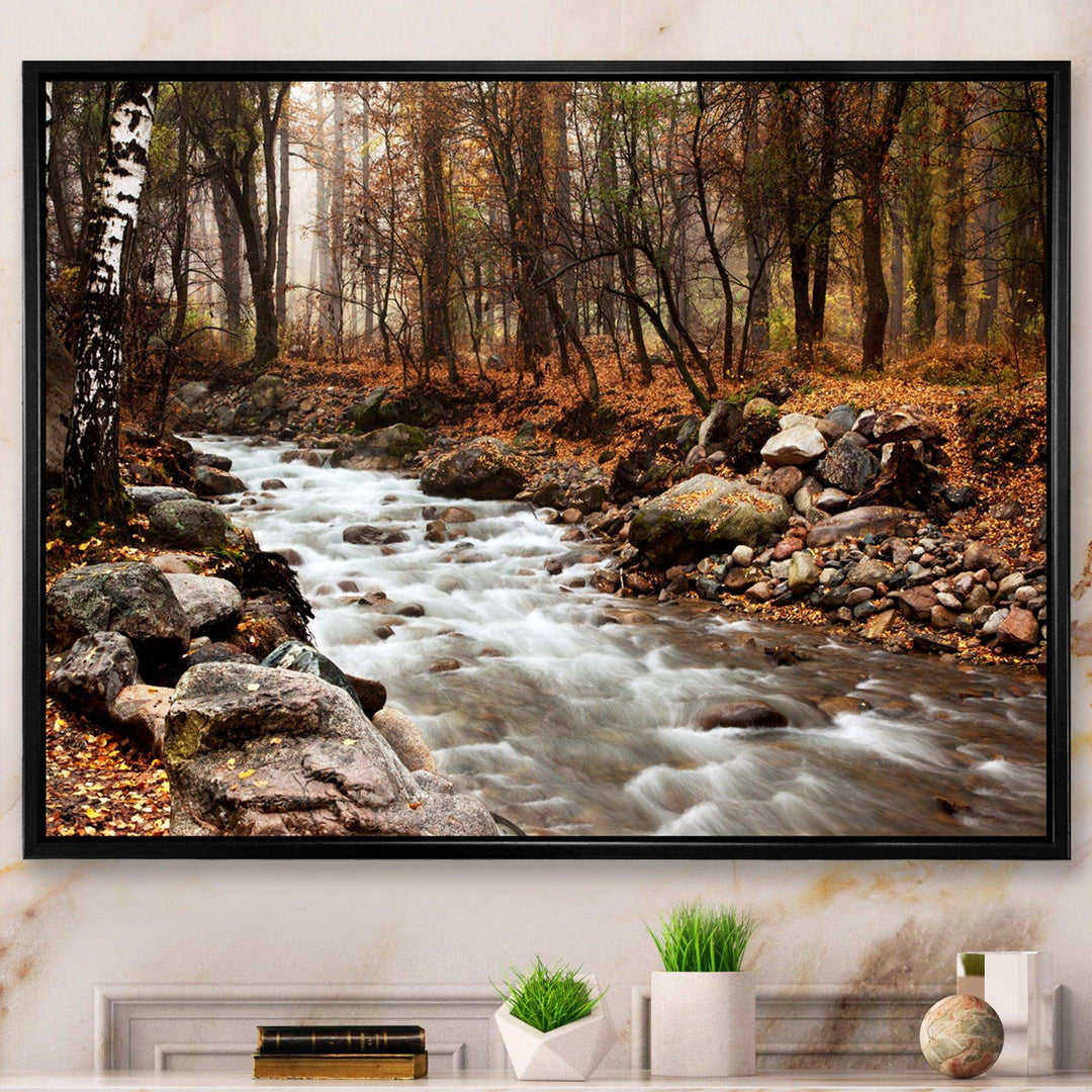 Stream in Autumn Forest